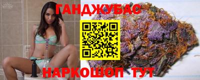 крисы Сланцы