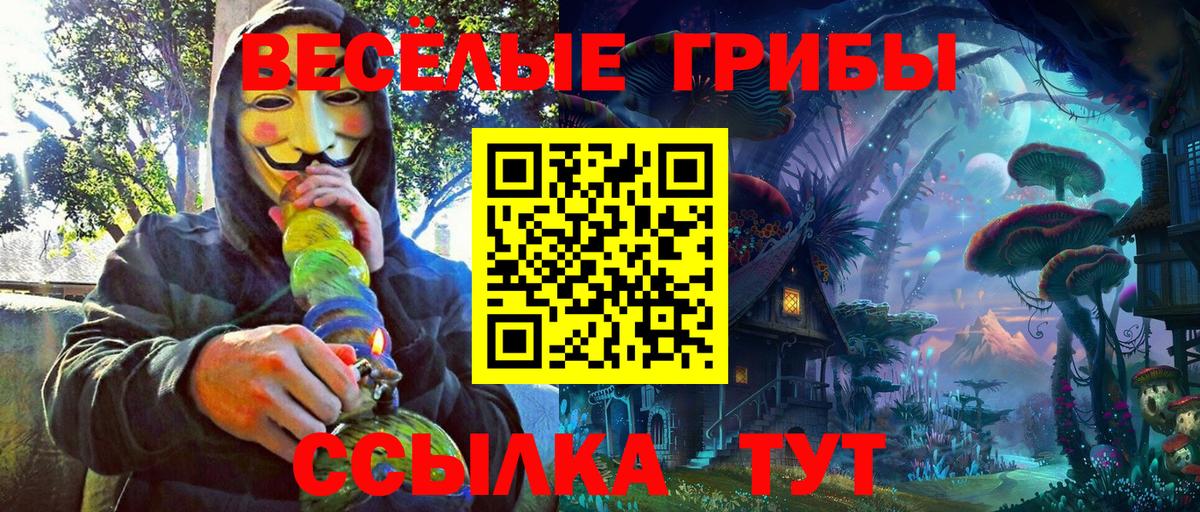 Галлюциногенные грибы Psilocybine cubensis Псков