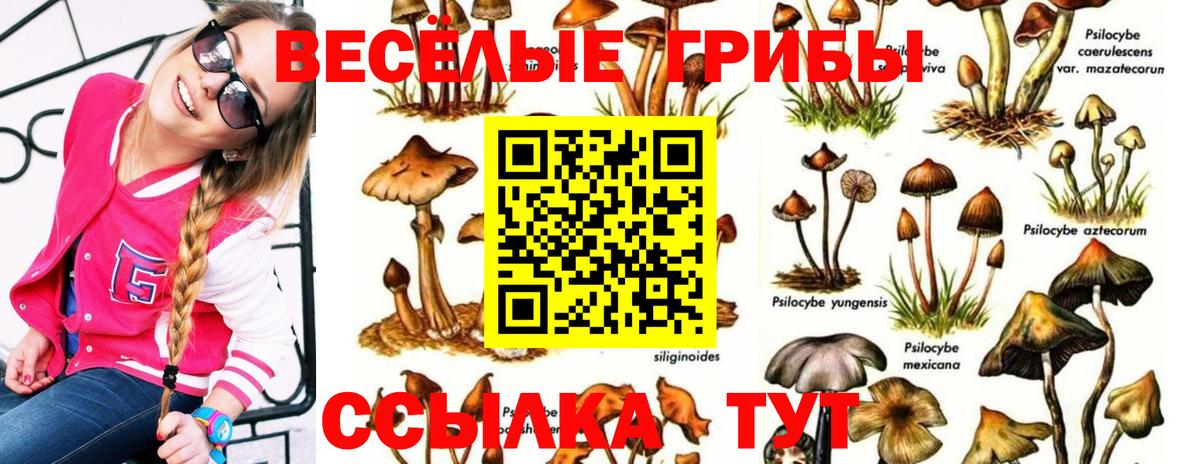 Галлюциногенные грибы ЛСД  Псилоцибиновые грибы мухоморы  Вход с VPN  Псков 